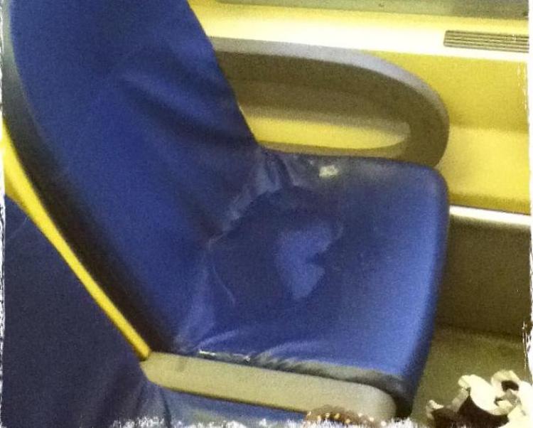 Sedili 'allagati' sul treno, protesta dei pendolari