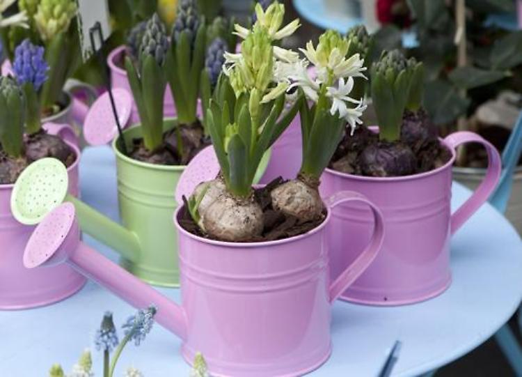 Verdi Passioni, Mostra Mercato del Vivere Verde