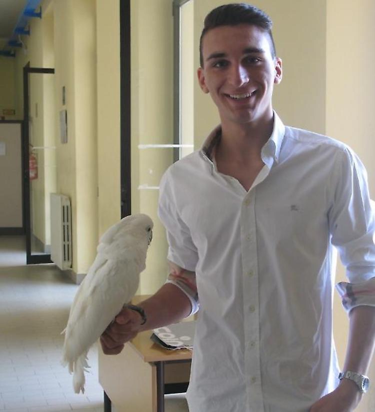 All'esame di maturità con il suo pappagallo