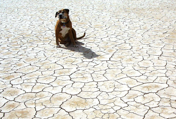 Siccità: continua il gran caldo, solo qualche temporale