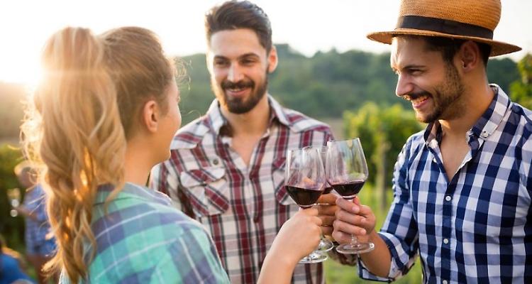 Vino: obiettivo enoturismo per 7 aziende su 10 Valpolicella