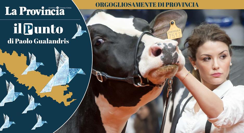 Zootecniche a Cremona: un circolo virtuoso