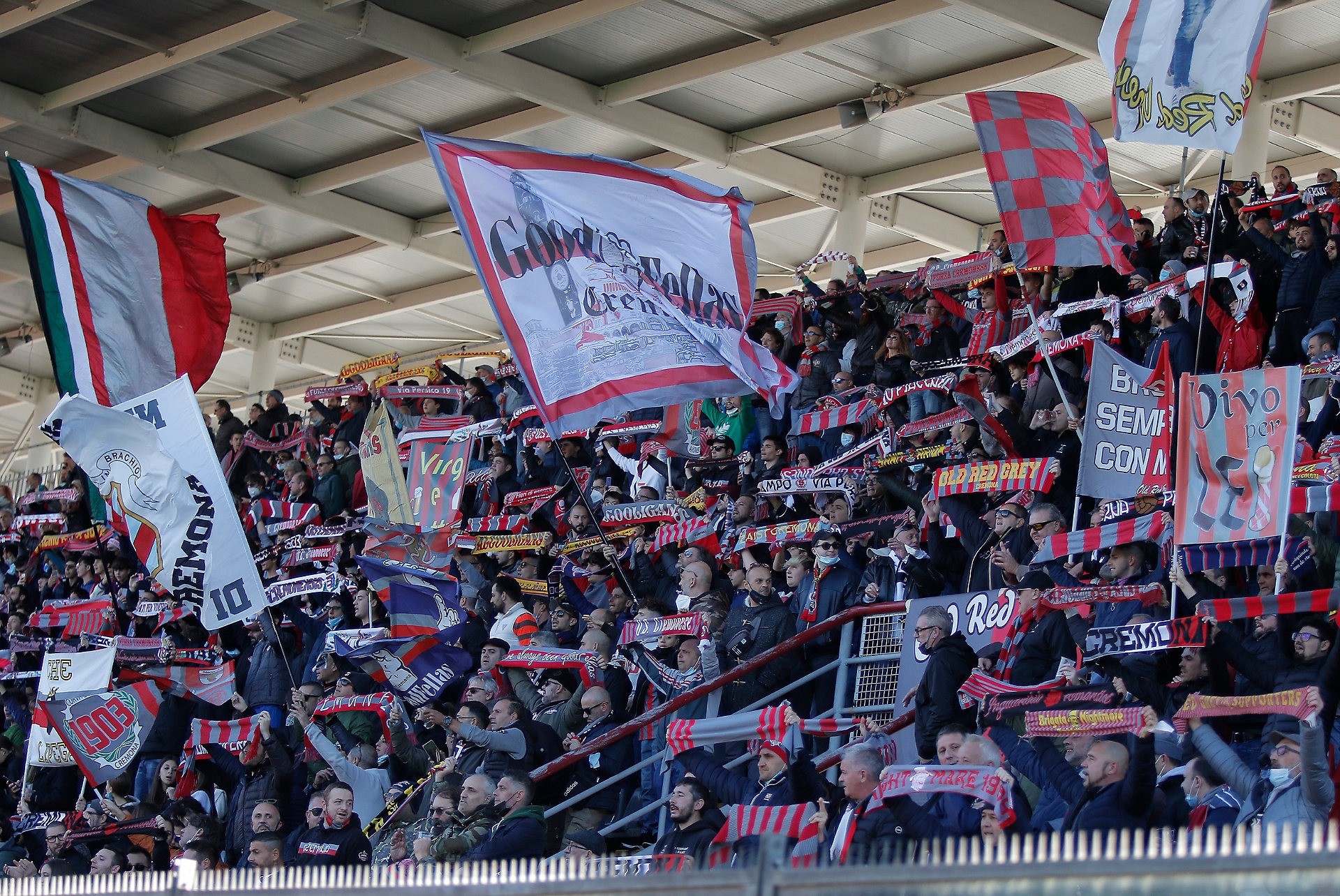tifosi