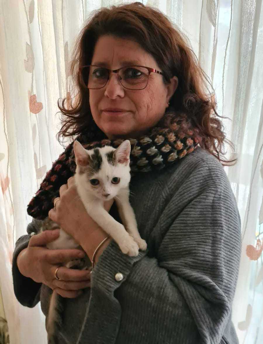 oasi