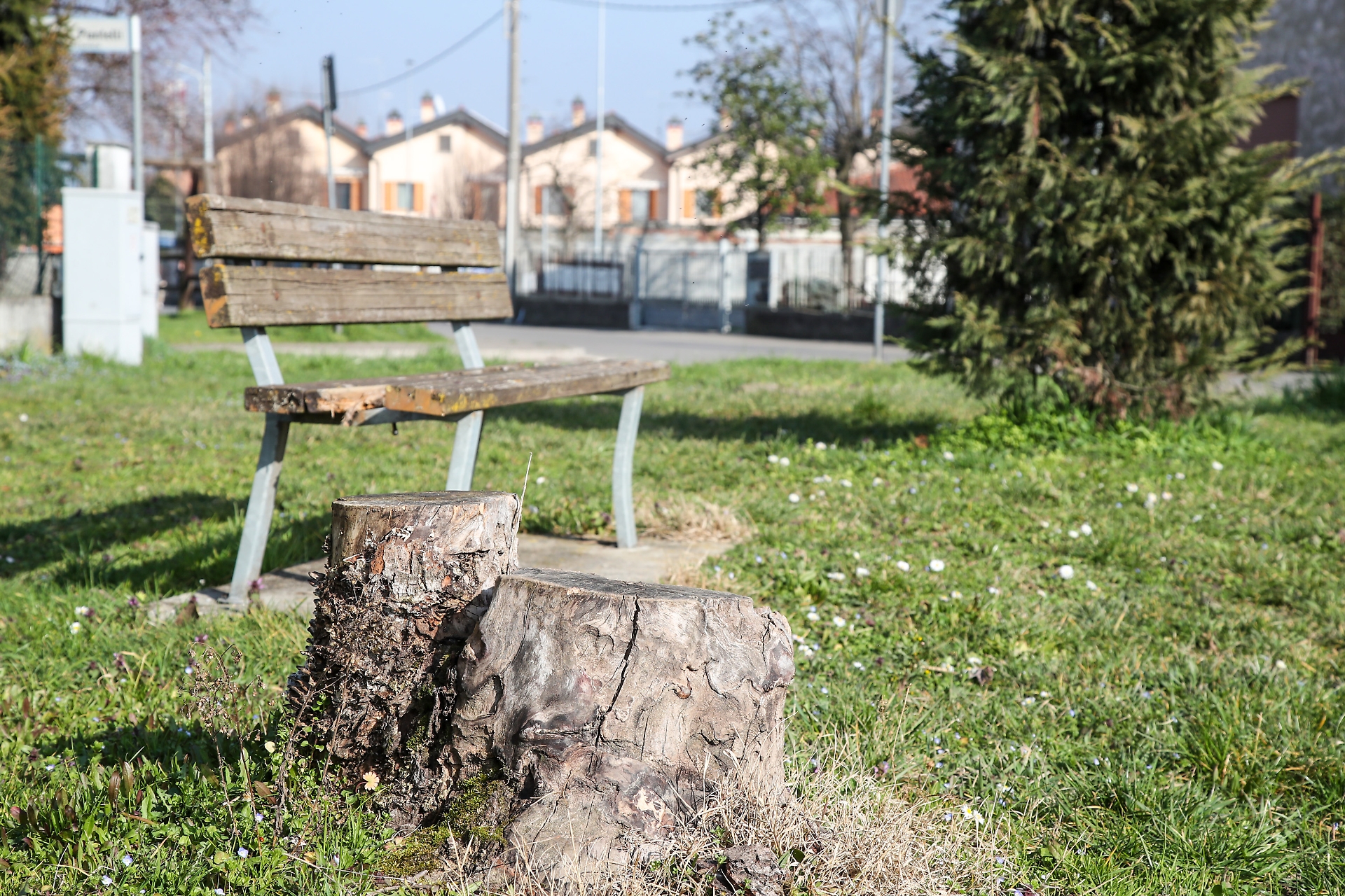 alberi