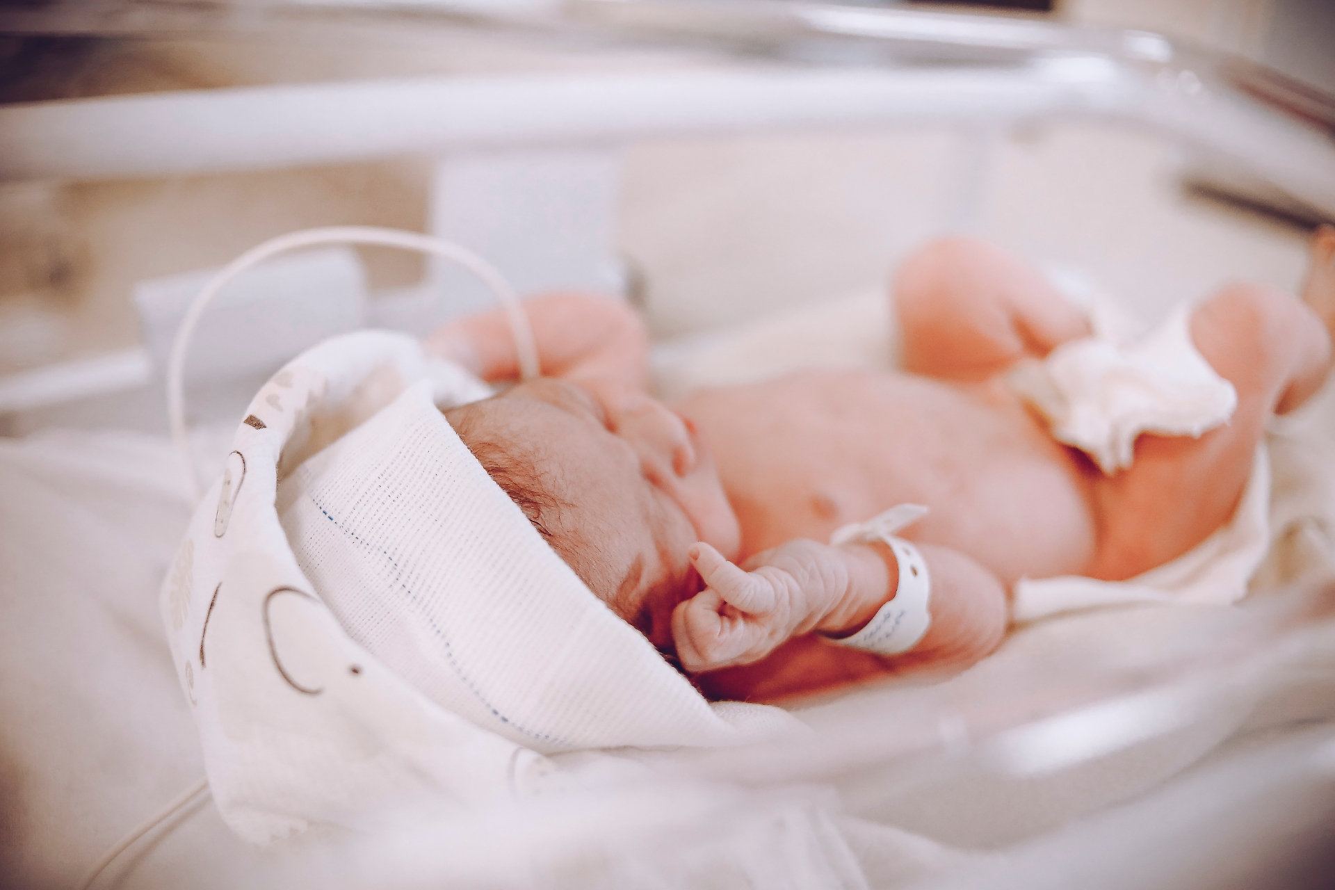 neonato