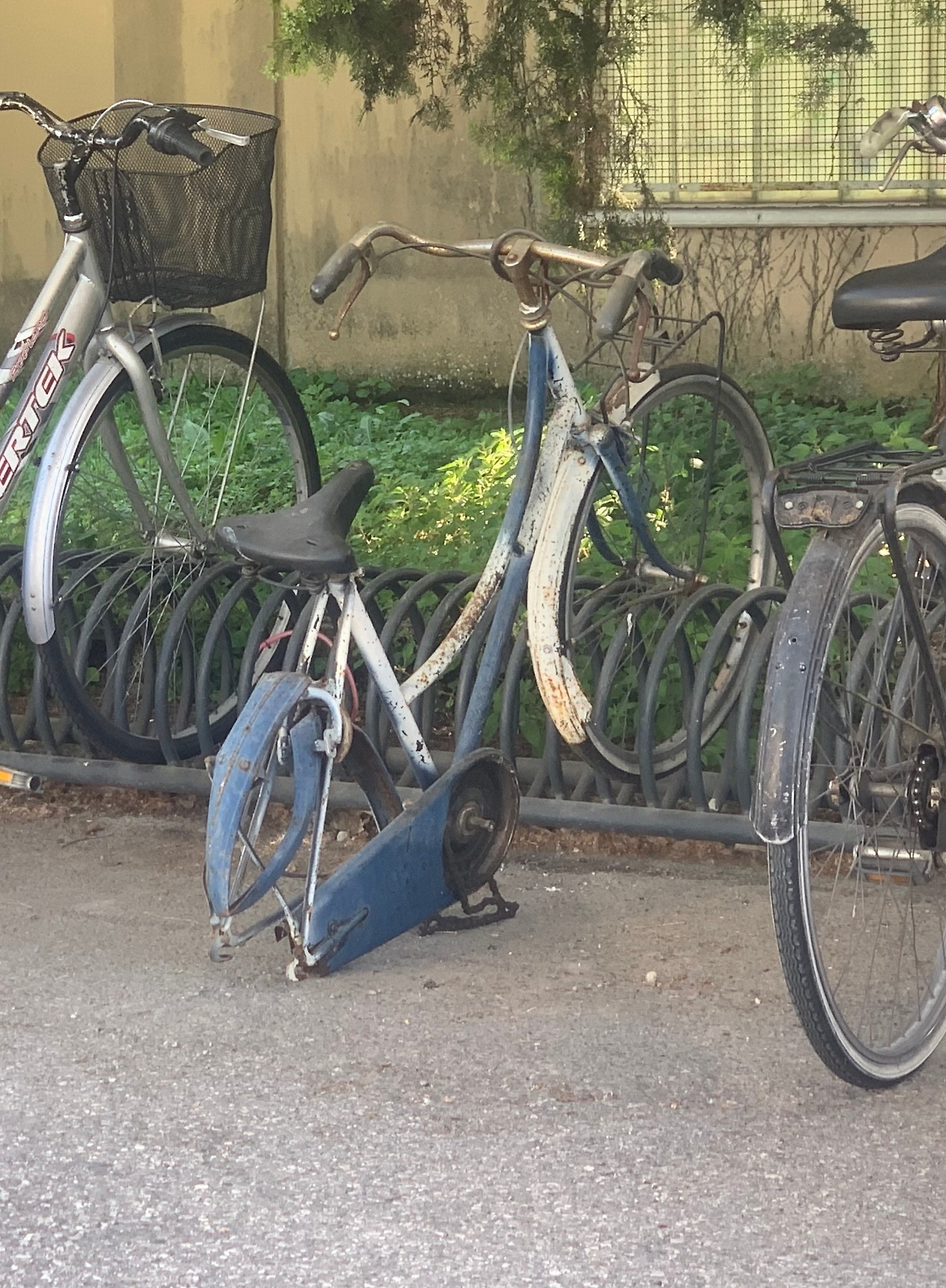 bicicletta