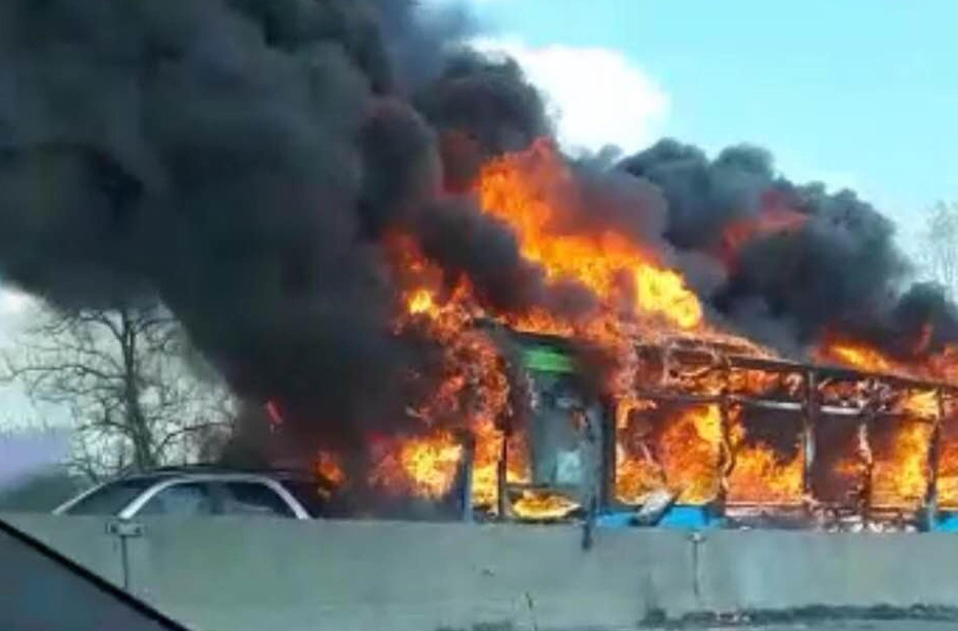 bus