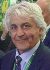 ardigò