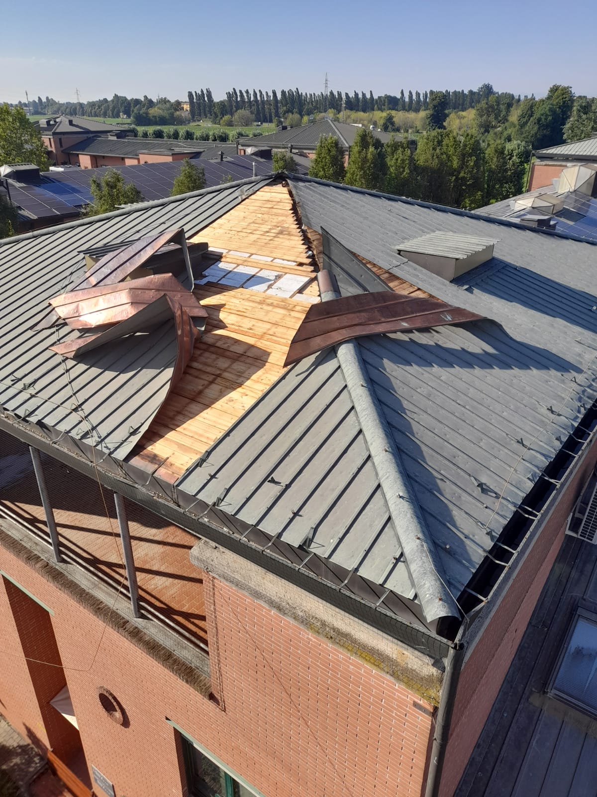 cremona solidale