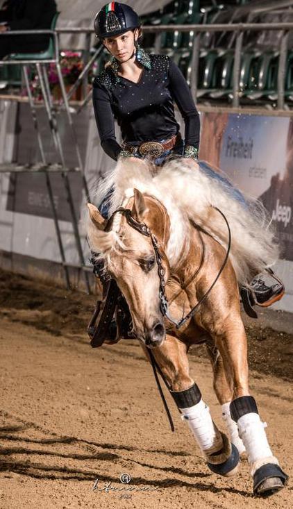 cavallo