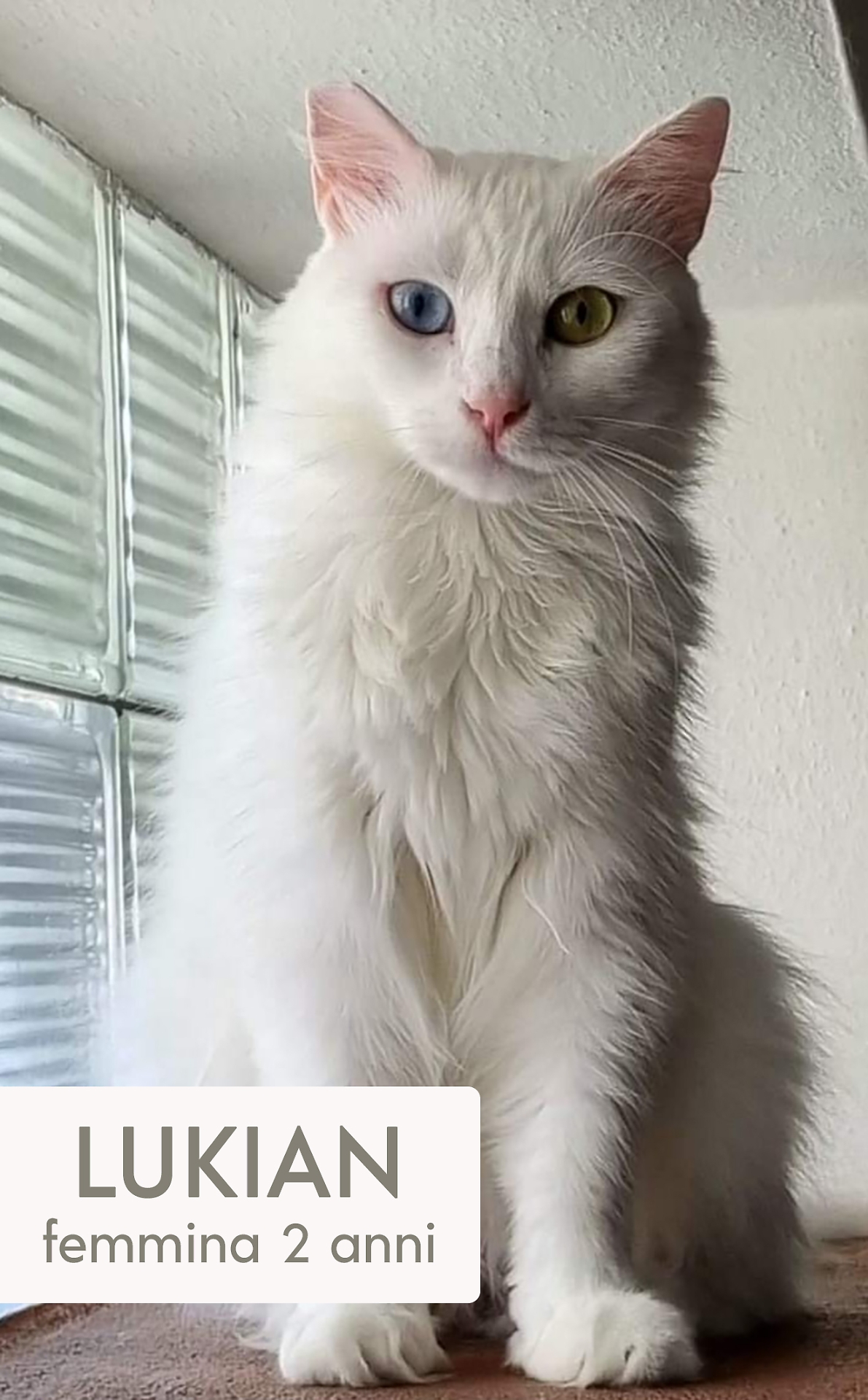 lukian