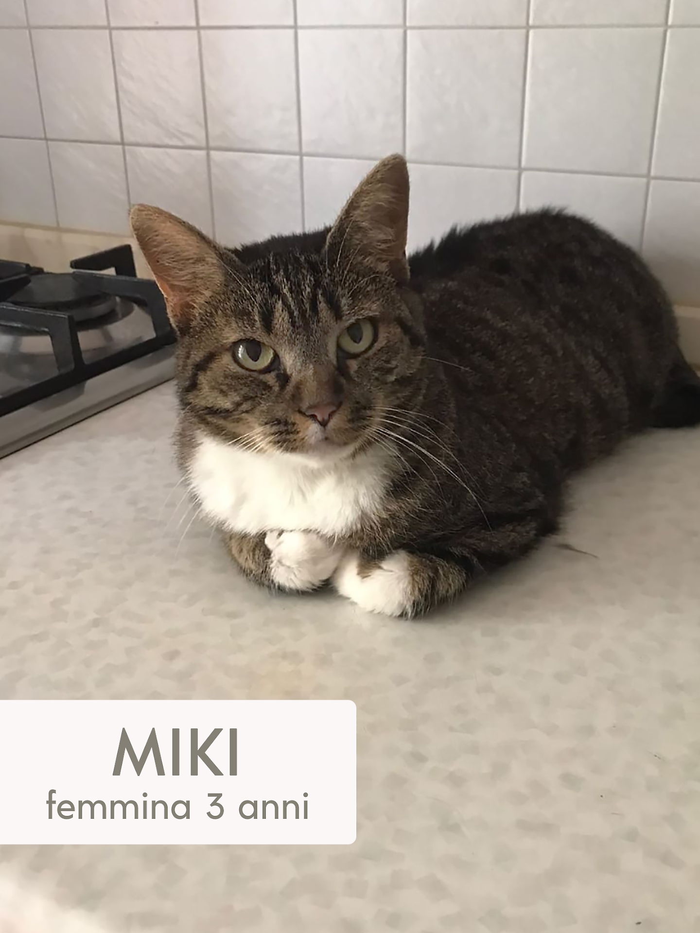 miki
