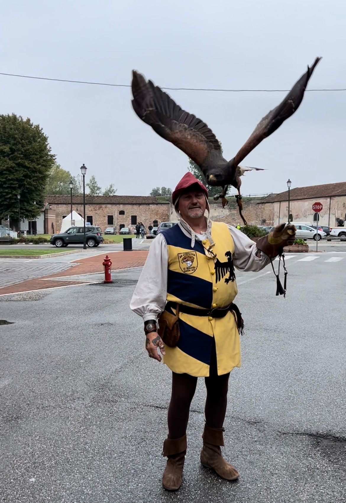 aquila