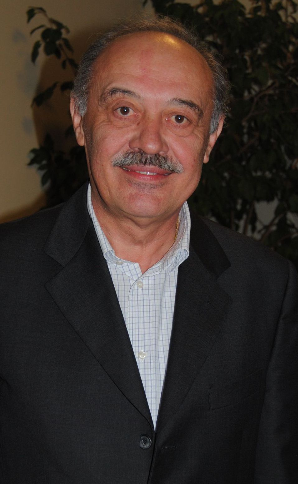 sindaco