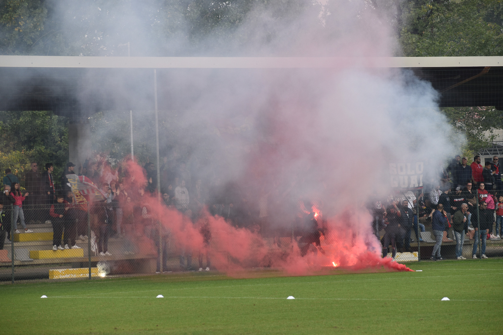 tifosi