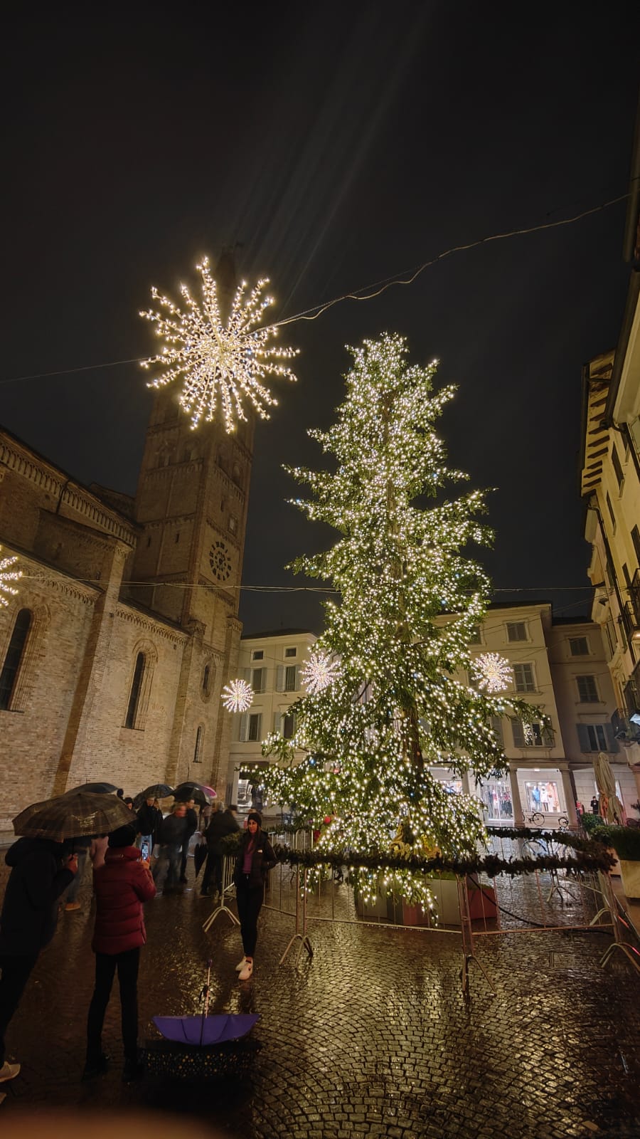 albero di natale