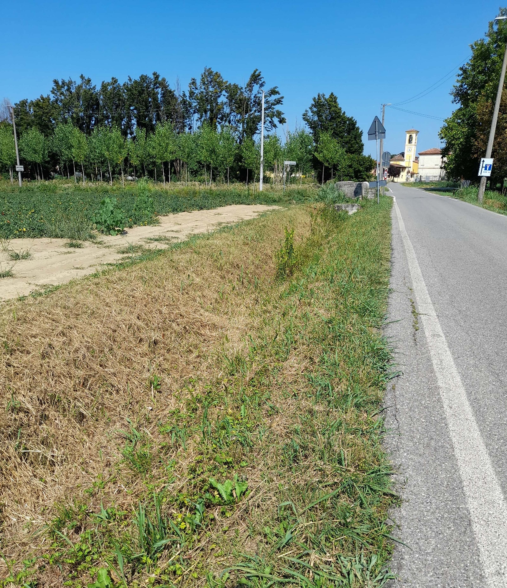 piazzola