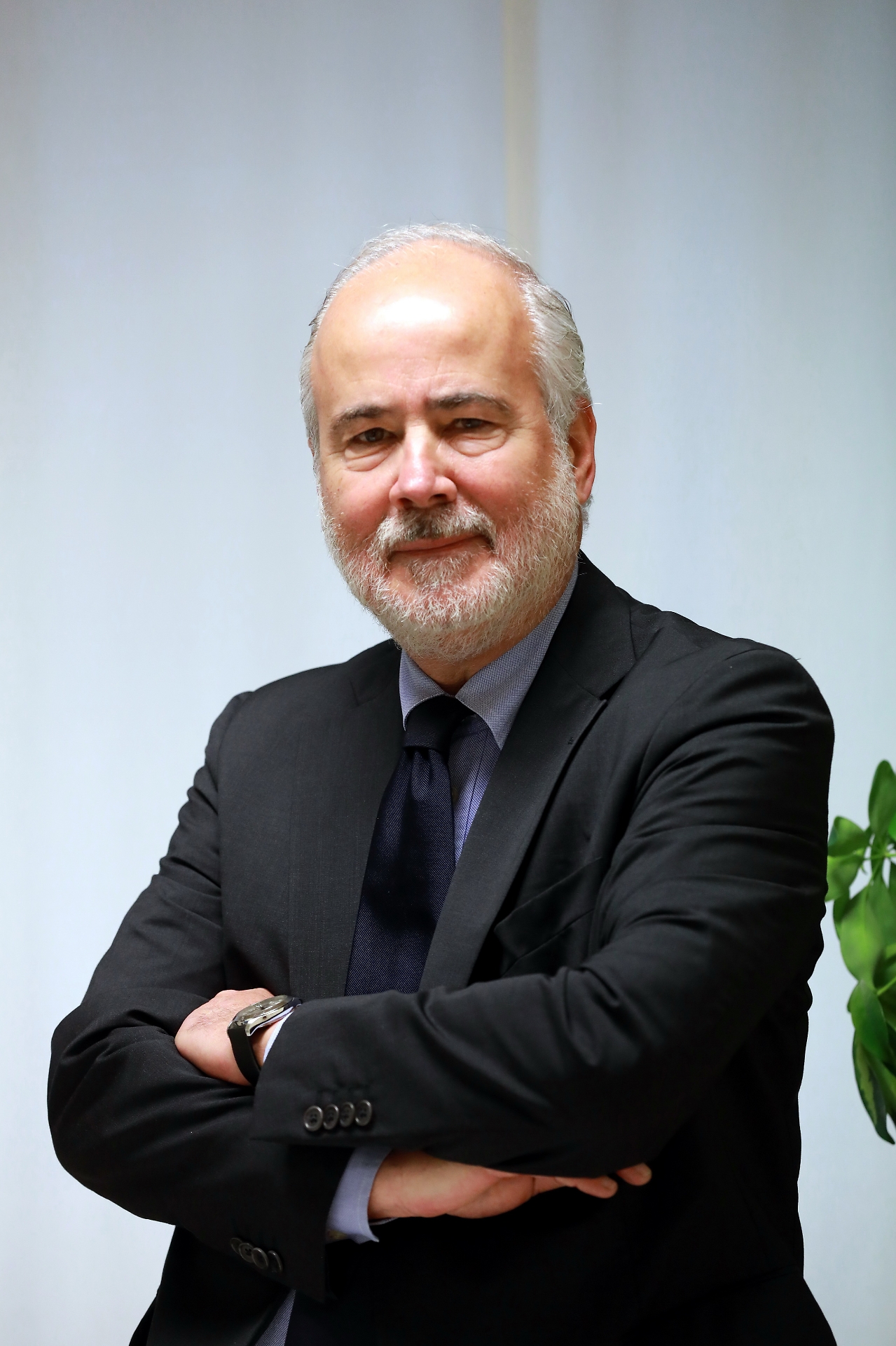 stefano
