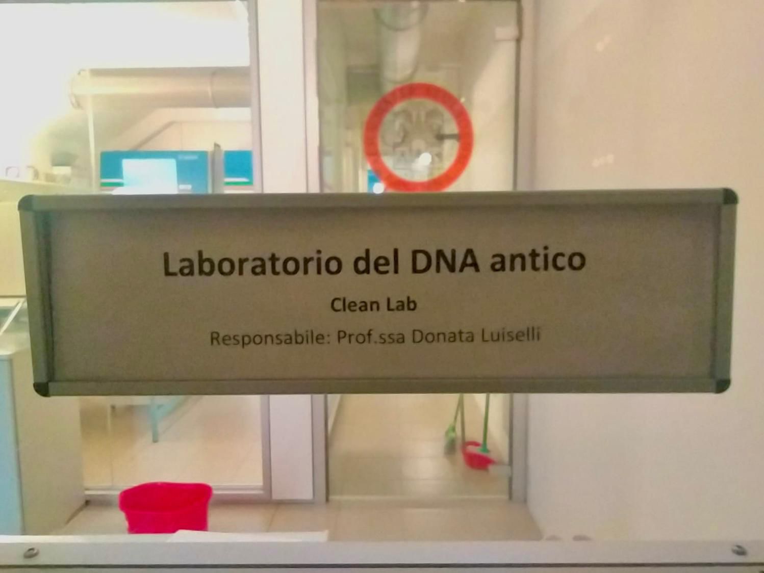 dna