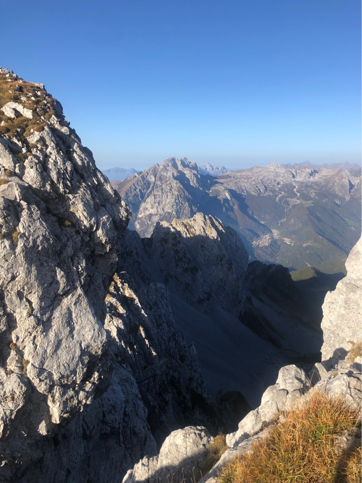 cima