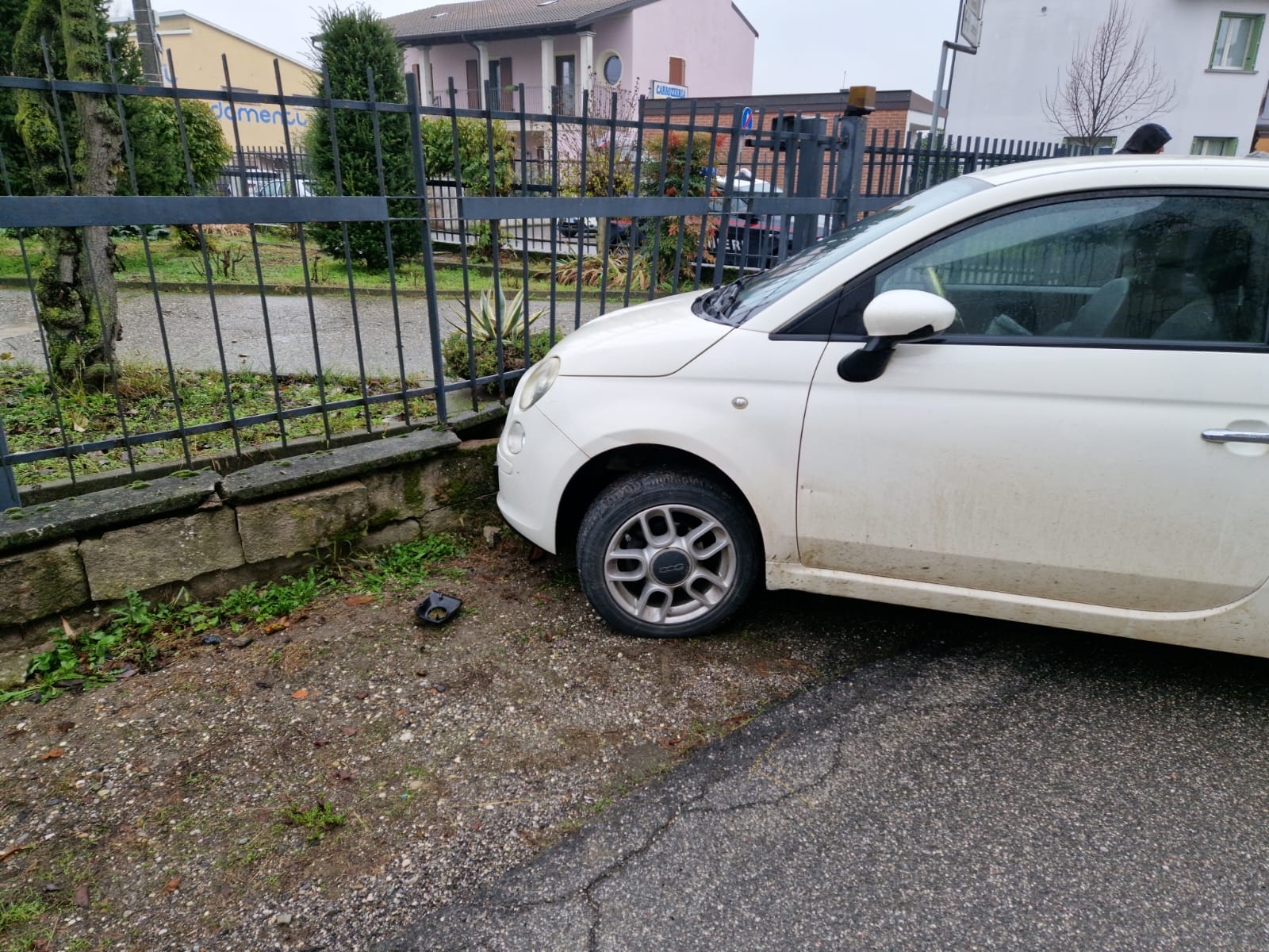 panda