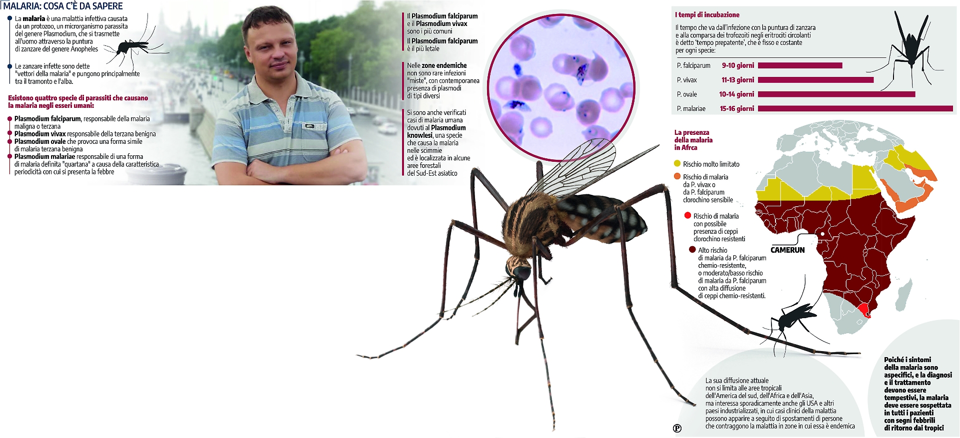 malaria