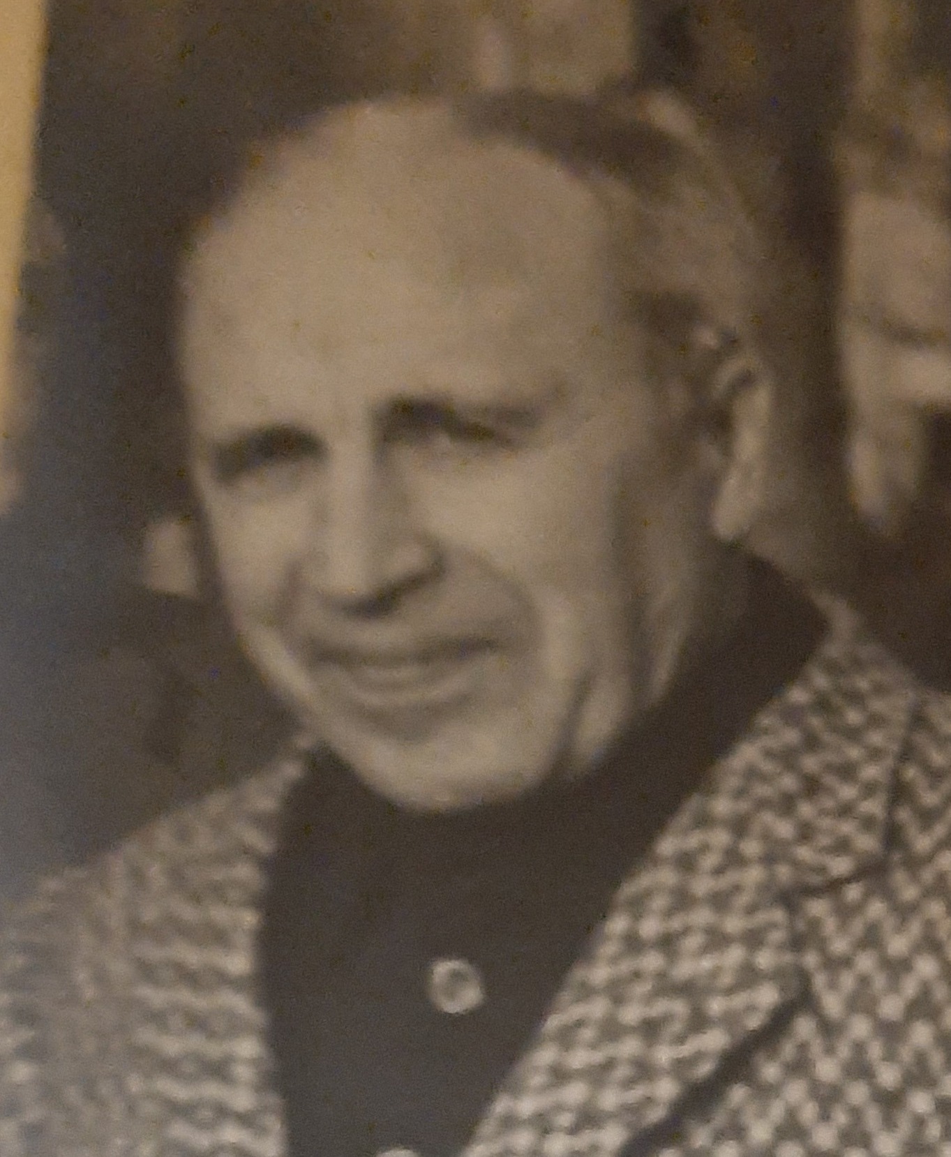 enzo