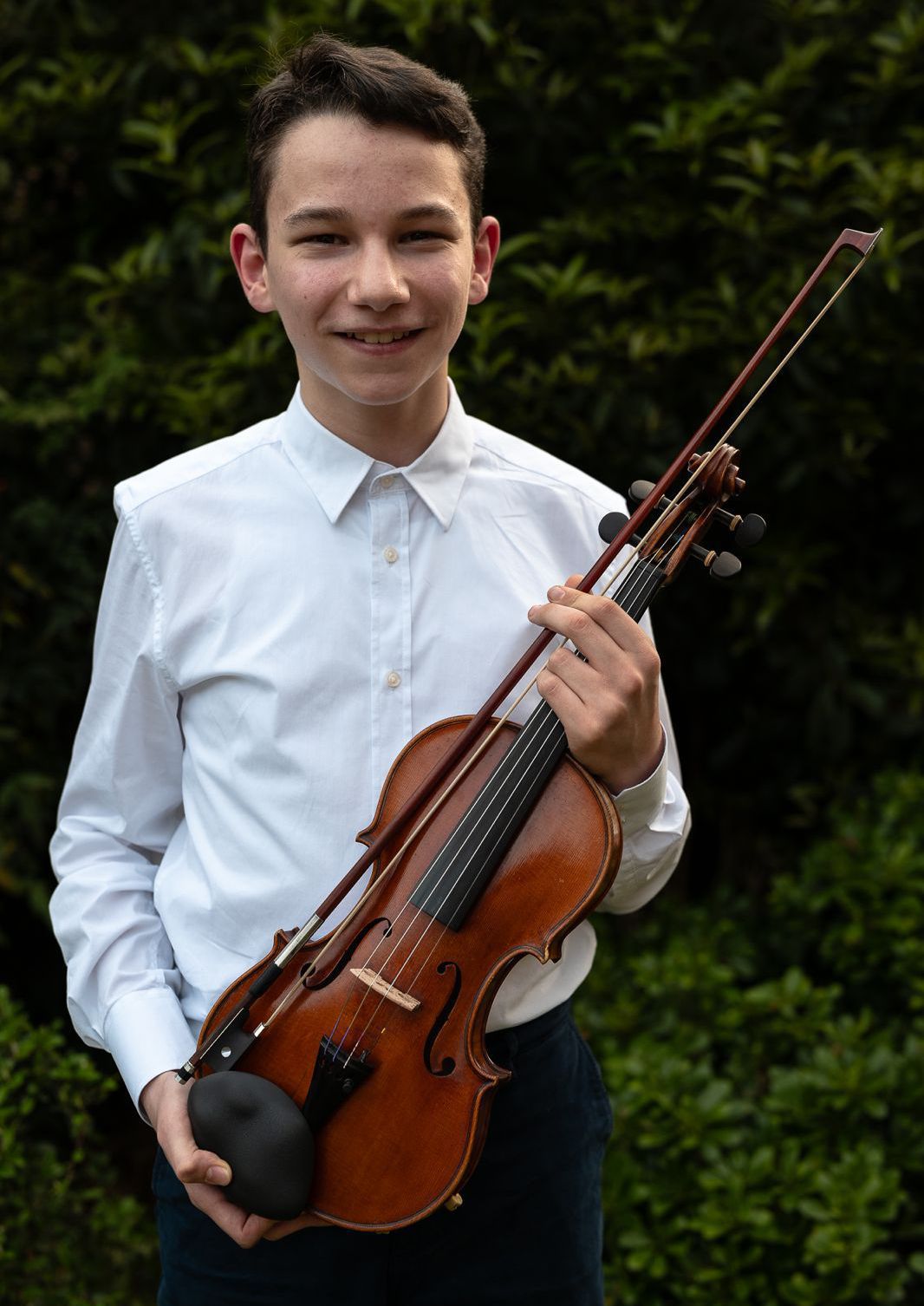viola