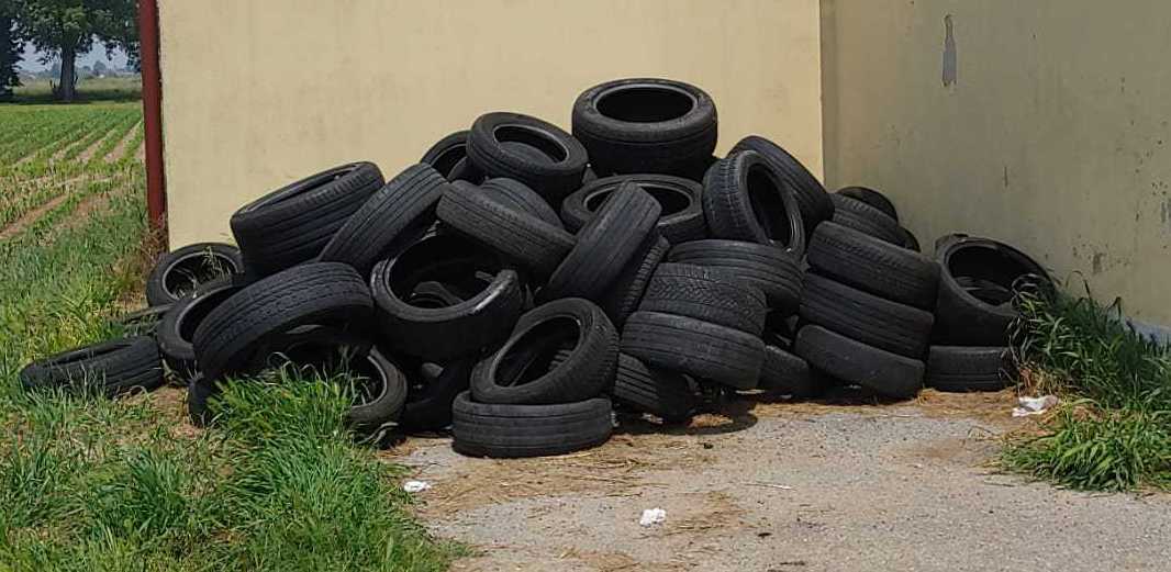 gomme