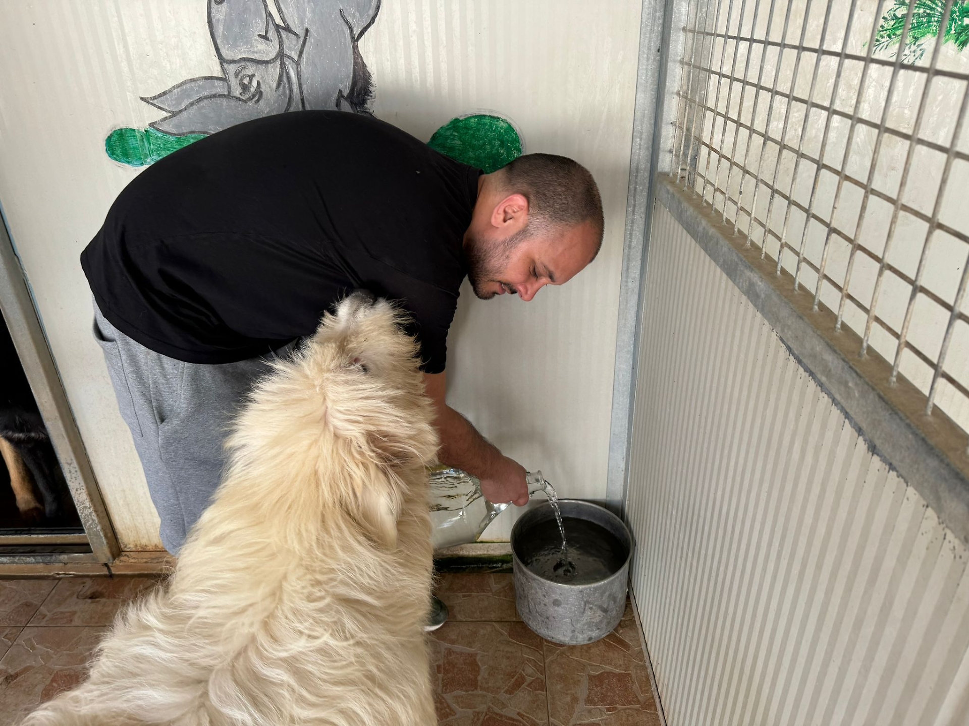 ciro