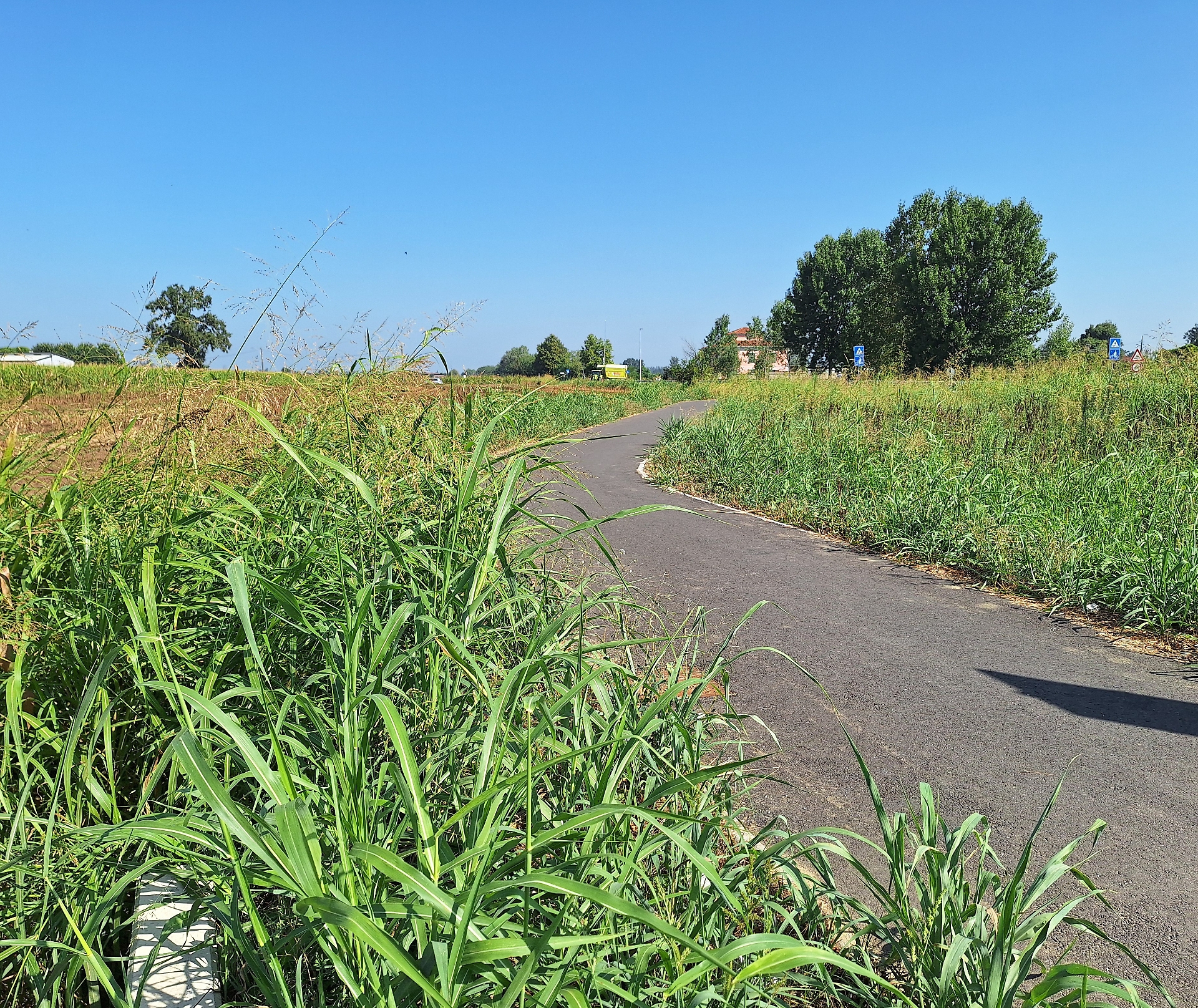 ciclabile dimenticata
