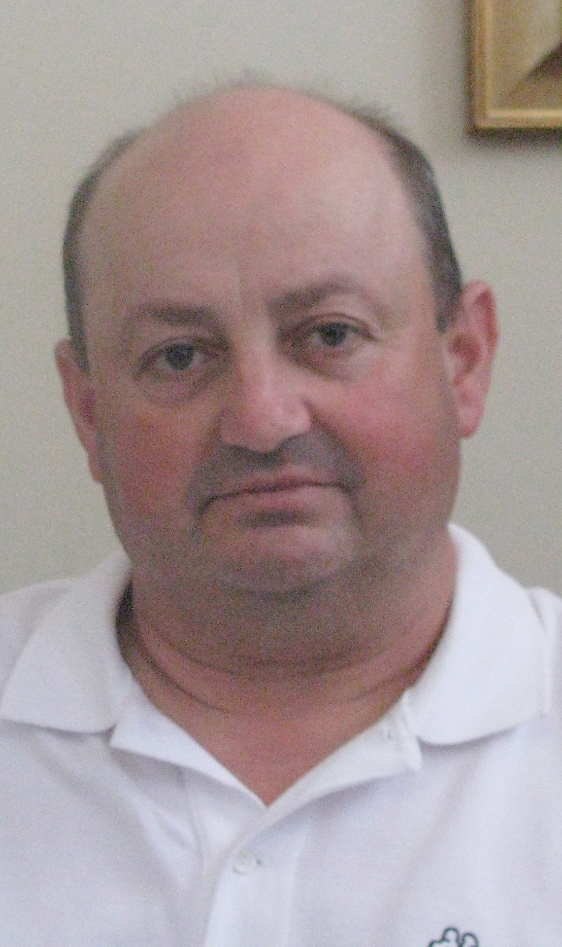 sindaco