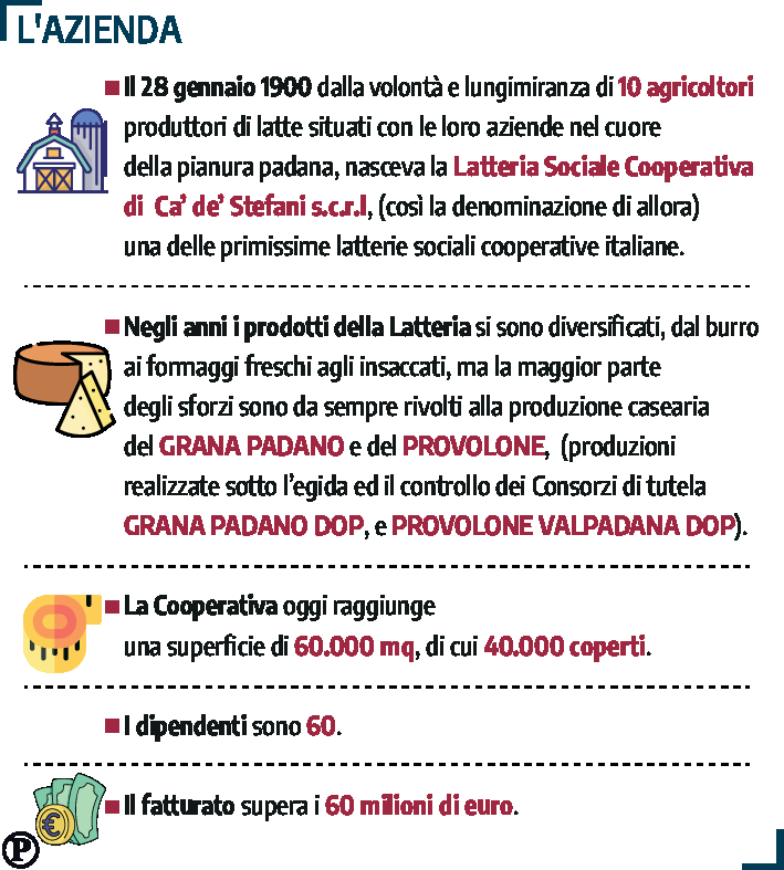 grafico
