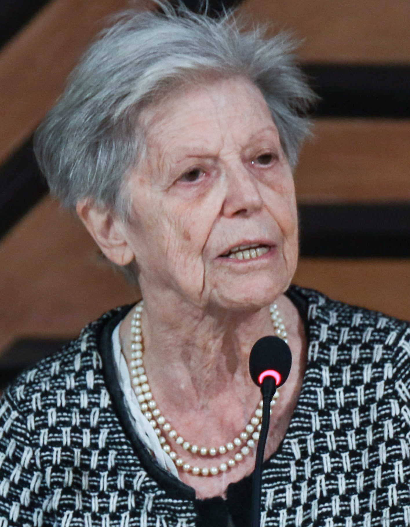 ercoli finzi