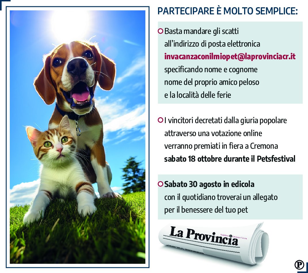 petfestival