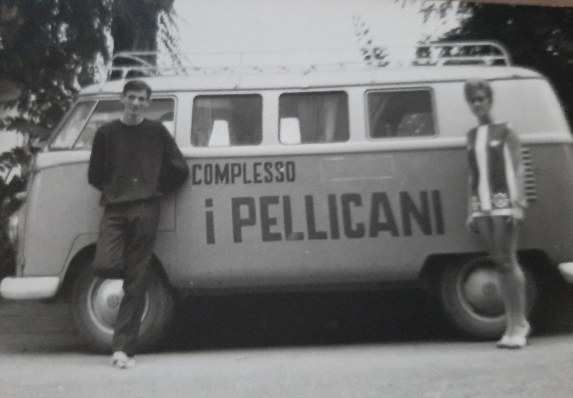 pellicani