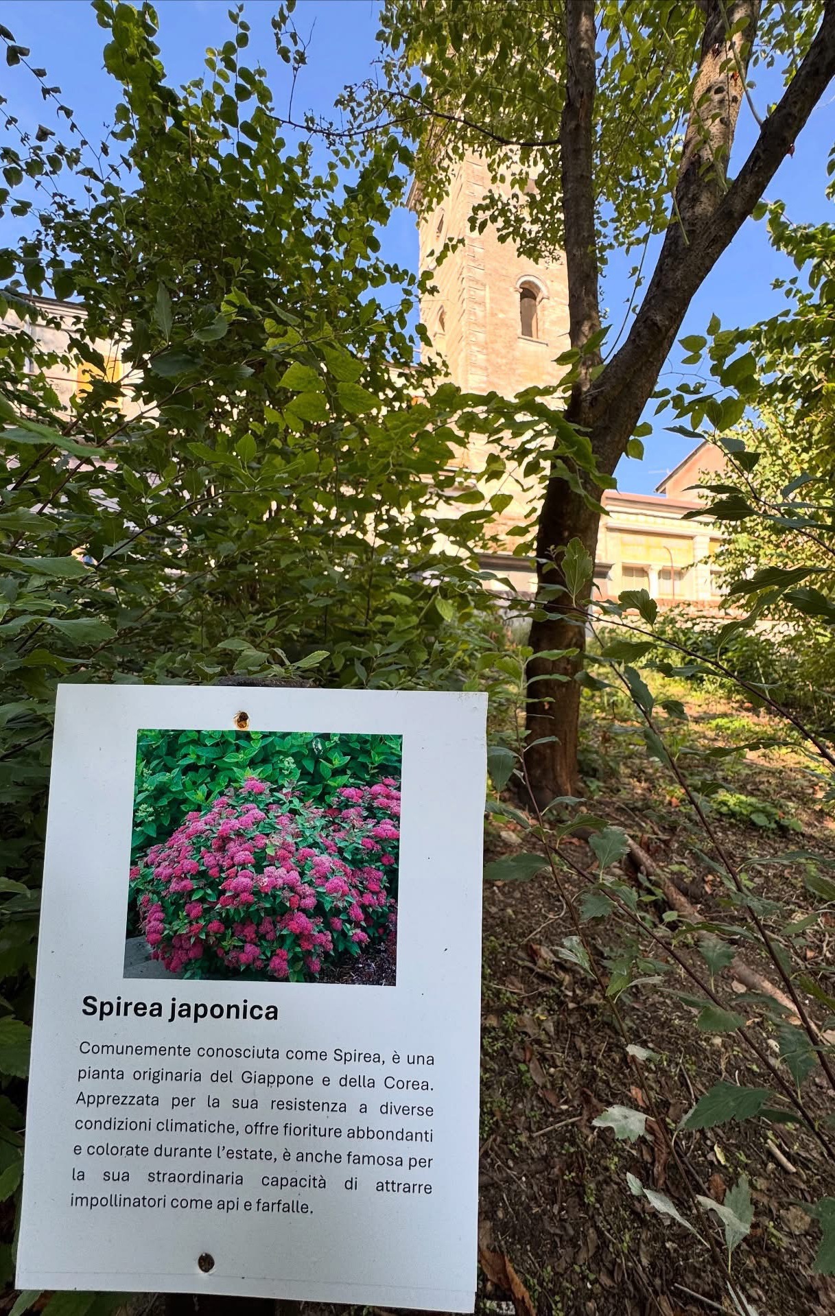 parco