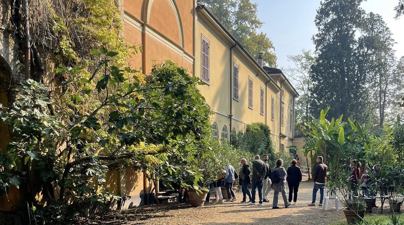 monticelli