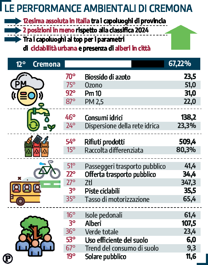 grafico